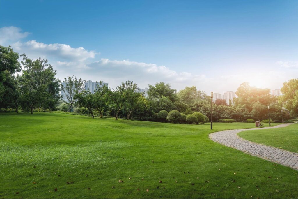 Top Family-Friendly Events in Papillion